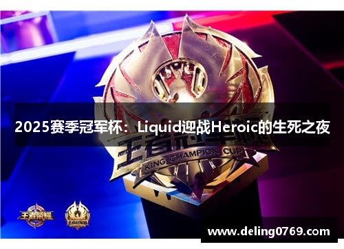 2025赛季冠军杯：Liquid迎战Heroic的生死之夜
