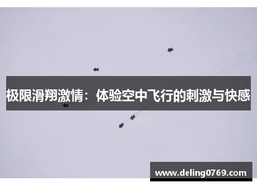 极限滑翔激情：体验空中飞行的刺激与快感