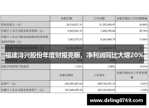 福建浔兴股份年度财报亮眼，净利润同比大增20%