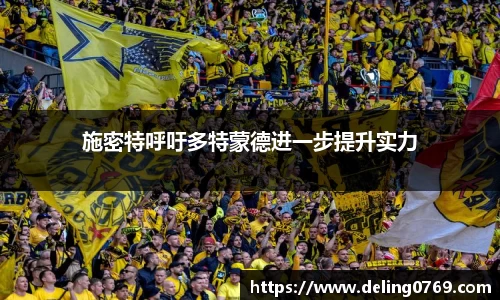 施密特呼吁多特蒙德进一步提升实力