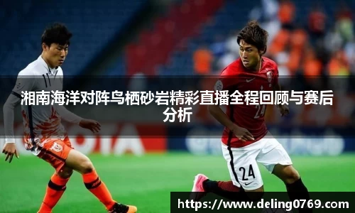 湘南海洋对阵鸟栖砂岩精彩直播全程回顾与赛后分析